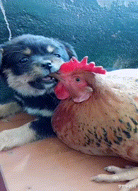 学姐说育儿|“一直好奇指甲剪套装里的这个是干嘛的，怎么用？”