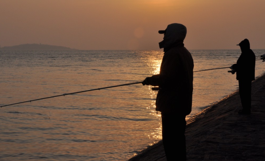 摩尔庄园|夏天，我为什么推荐晨钓？是因为有这三个优势