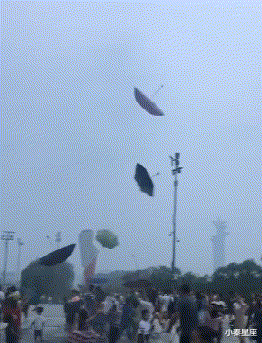 小秦星座|搞笑GIF：本来是想吓一下别人。不想到自己竟遭了殃。失算啊！