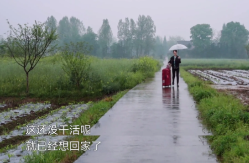 杨紫|杨紫参加节目，把“女人最珍贵的东西”口红都丢进了筐里！