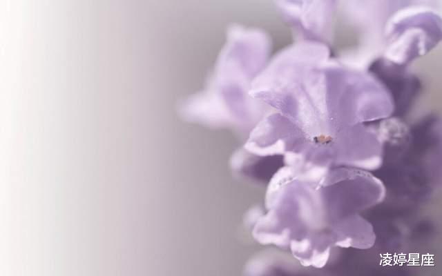 凌婷星座|因为有爱，所以依赖，感谢月亮处女座的在意，余生色彩变得幸福