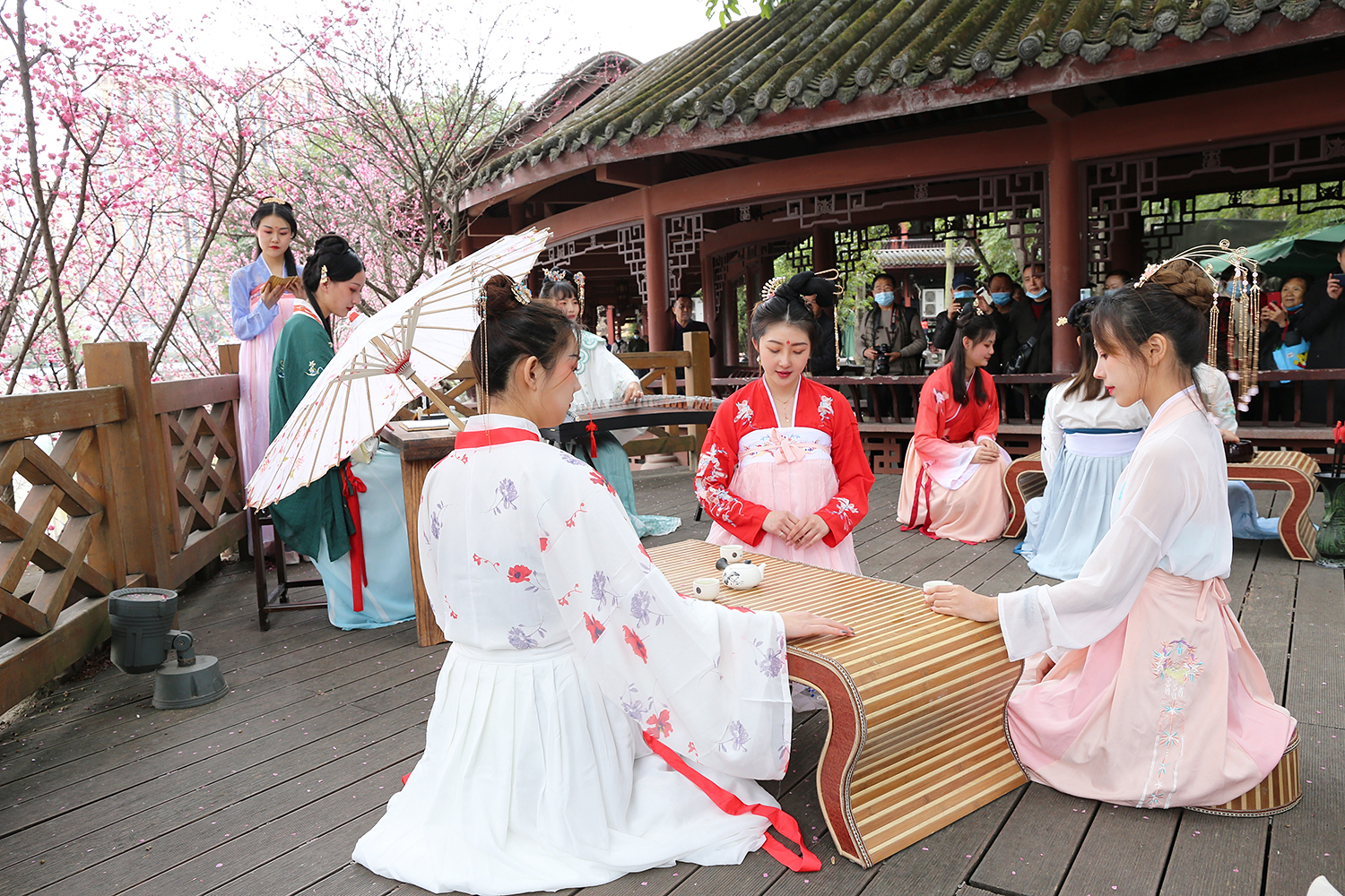 热点事儿 赏梅踏春过春节 望江楼公园上演“梅花雅集”主题活动