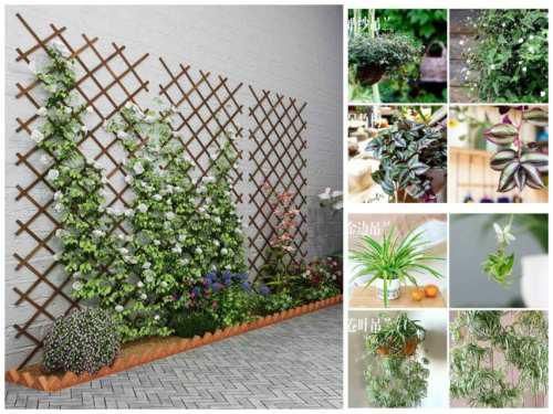 别让阳台空置蒙尘, 这样布置还你舒适感十足的小花园