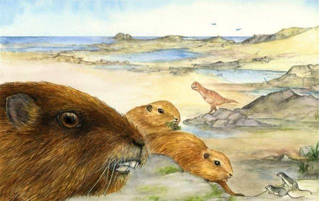 泰坦蟒 5500万年前,地球发了一次“高烧”,孕育了一种大蛇