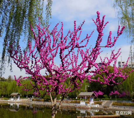 |出生在哪几个时辰，看似没钱，实则靠自己能发财，后劲很足