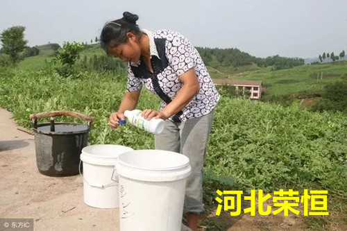 叶面肥再贵,不如用法对