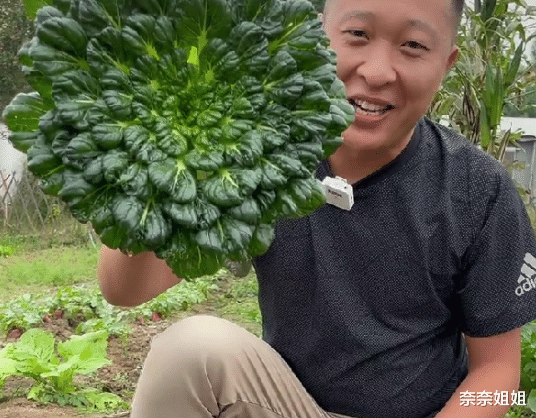 80后小伙,高中没毕业,成为金融公司老板年入60万,现在开始菜农