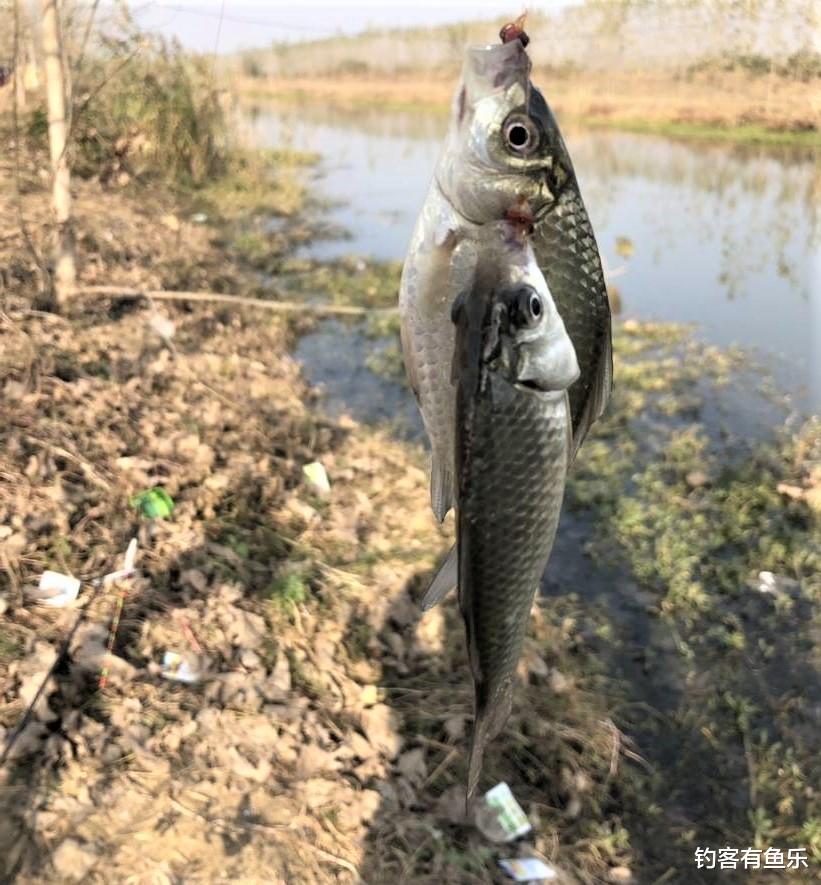 饵料|在水库型黑坑钓鱼有什么技巧？碰到这3种黑坑，千万不要轻易下竿