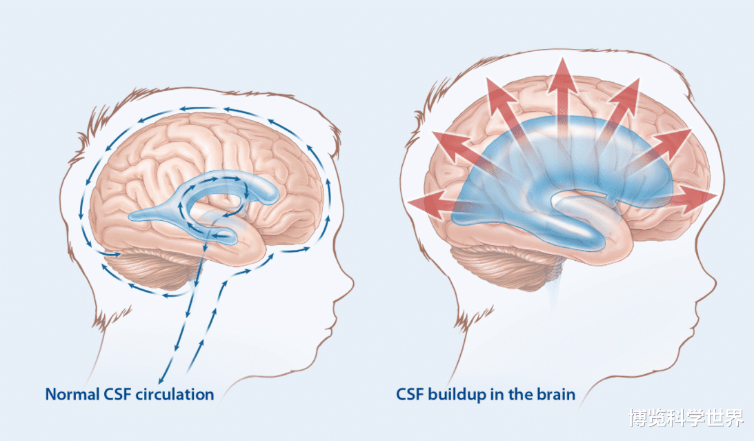 睡眠背后有何科学道理?如何保持科学作息时间?