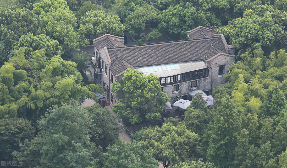 三月暖阳|弱者易怒,强者易恕