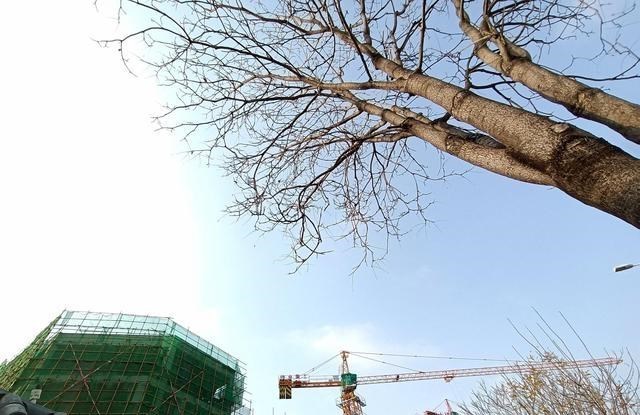 海曙|泰安“地王”，87平方米楼房需要200多万，泰安房价为何这么高？