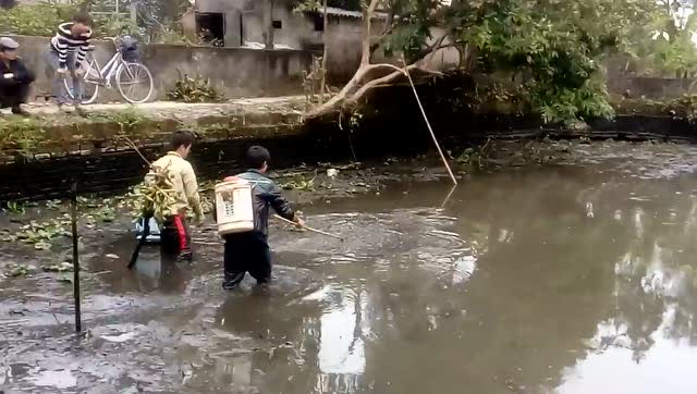 |钓鱼人纷纷议论,全国多地都在禁钓,为何鱼类杀手没人管管?