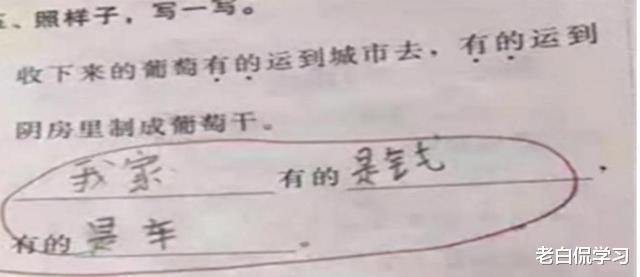 老白侃学习|“豪横”的考试答卷火了，忍了中学生，却被小学生逗乐了