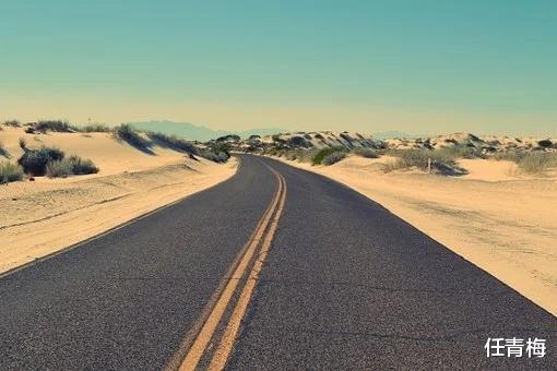 |职场女人上位史，她从开局就已经密谋许久。