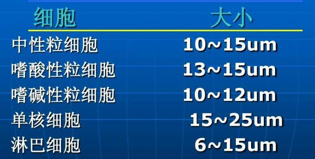 一加科技 直径0.000001毫米的针直穿大脑，会有什么感觉？