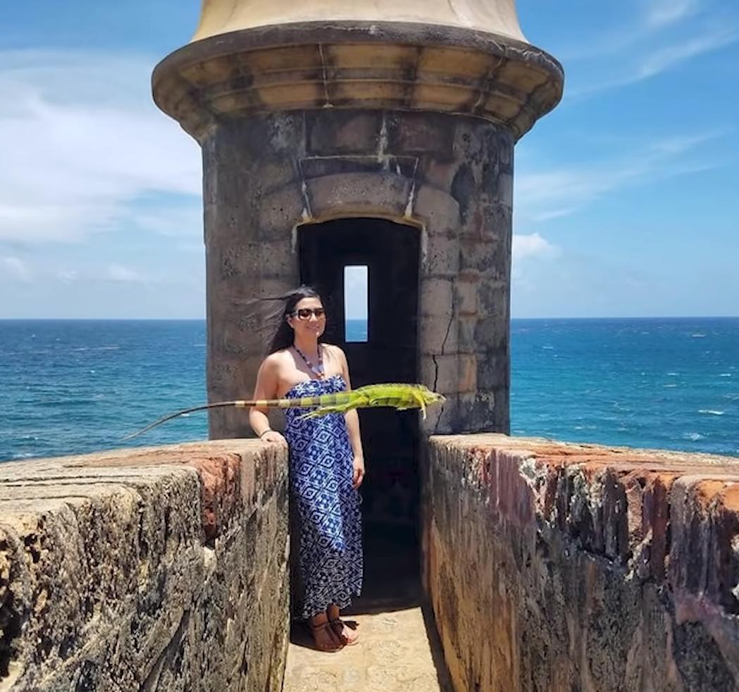 海之归墟|31张“时机完美”的抓拍照片，拍到的人简直太幸运了