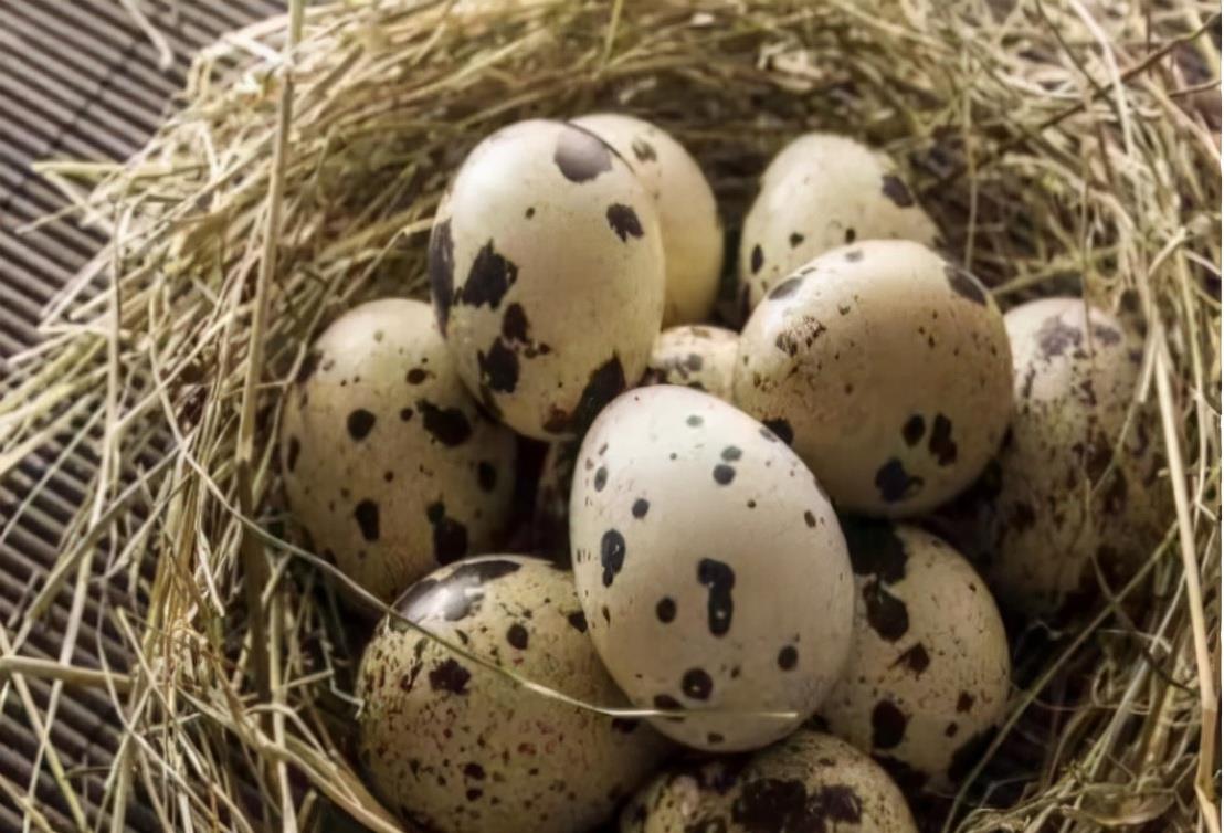 育妈计|四兄弟凑1000元创业,如今个个百亿资产,其中2个还是曾中国首富