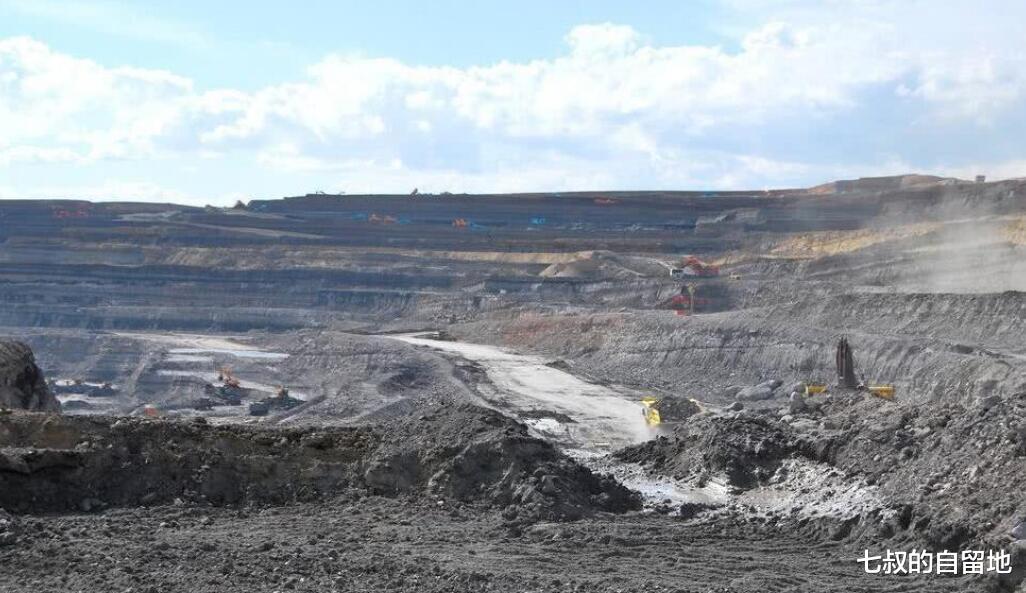 微生物 九米厚的煤层是多高的树木变成的? 成规模的煤层为什么都带倾角？