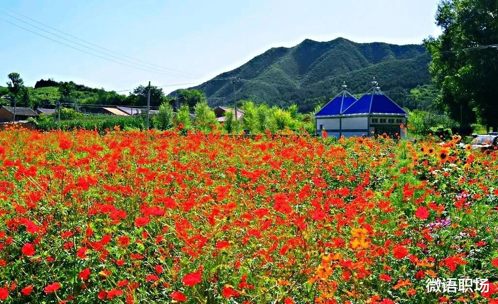 |社交生存：你应该知道的5种为人处世思维