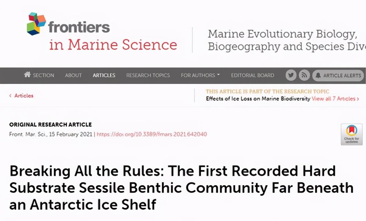 核聚变 科学家在南极冰层下发现“神秘生物”，或改变对地外生命的看法