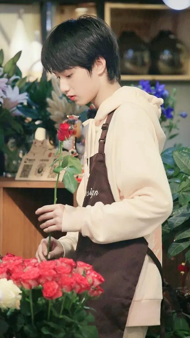 孙俪|刘耀文、丁程鑫、马嘉祺、张真源、严浩翔、贺峻霖头像壁纸：优秀的发圈文案