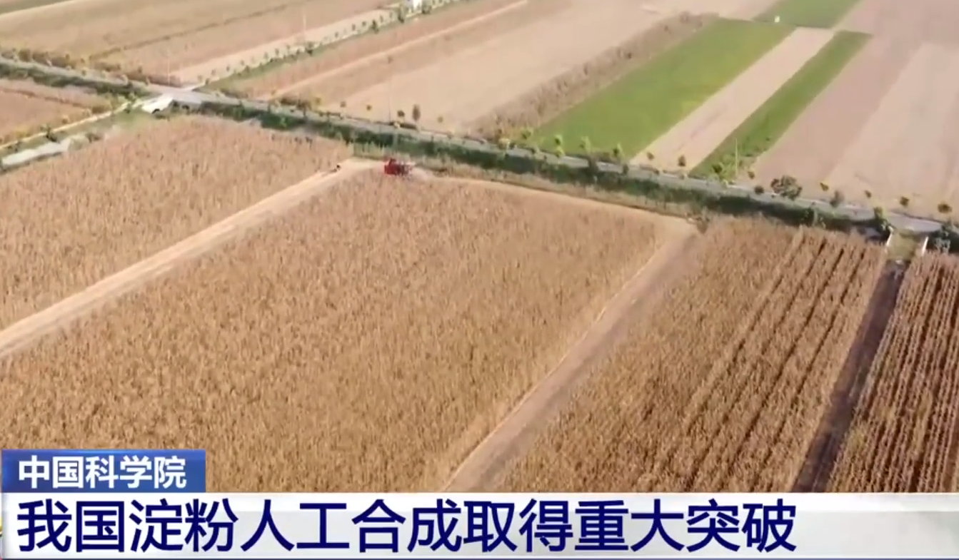 航天员 中国科学家造出“人工粮食”,实现从0到1的突破,白宫又不淡定了