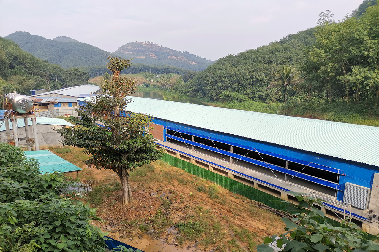 星发树脂瓦|塑钢瓦和合成树脂瓦有什么区别