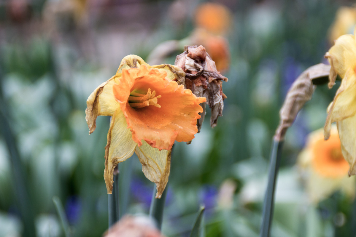 遇见小媛 女追男隔层纱？这三个女人说了心里话，答案很现实
