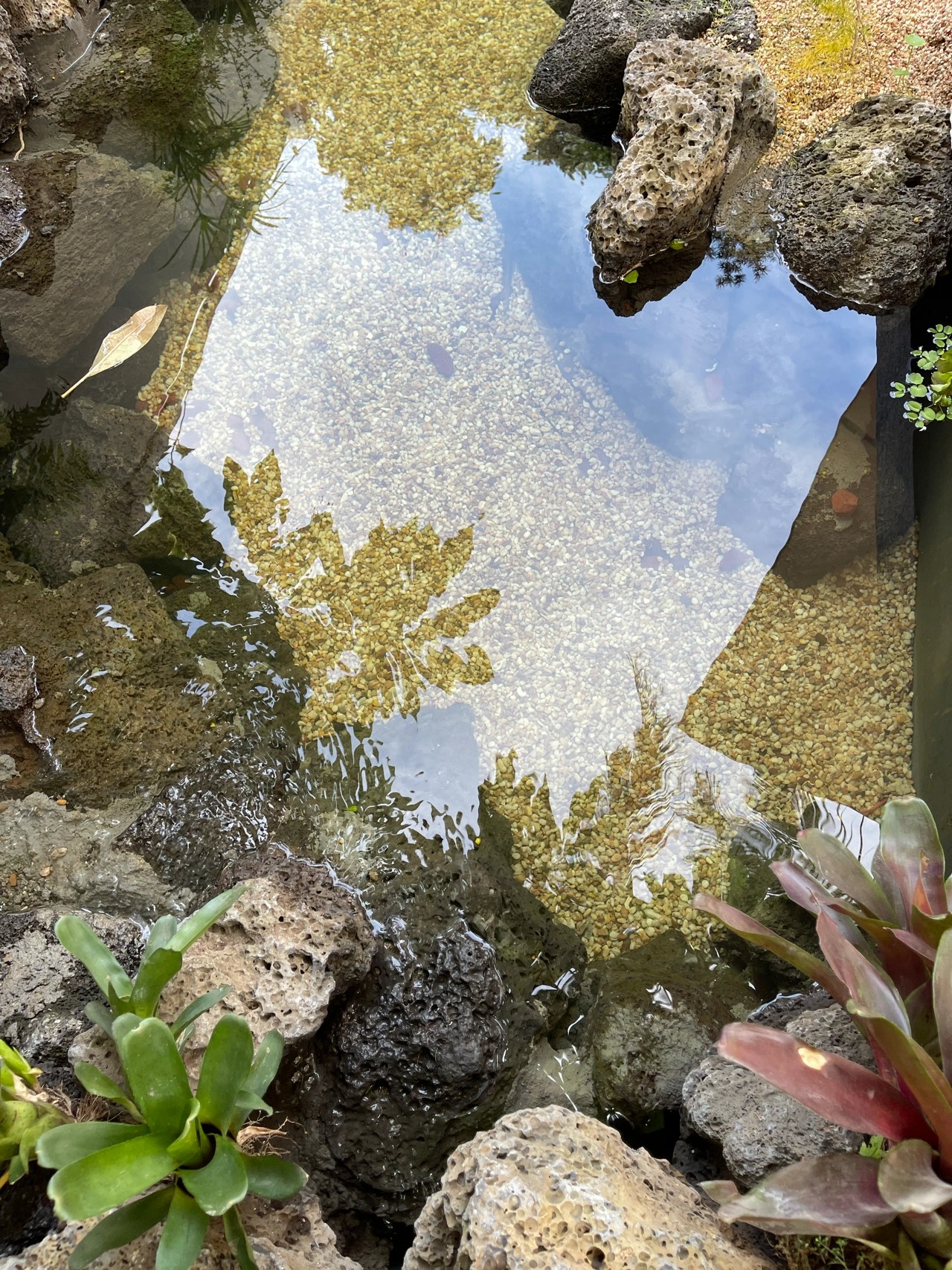 中国风|花12万改造的170㎡花园，这装修风格完全在我审美上，太好看了