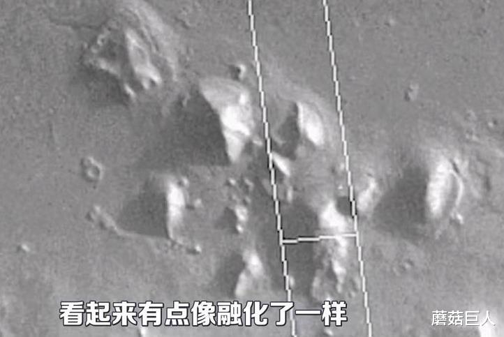 蘑菇巨人|星际麻烦制造者，天龙人的前世今生，在数千万年前布下的万古迷局