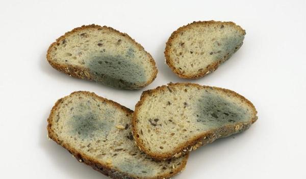 芋头|湿气一重，浑身不爽？祛湿谨记三步走，健脾养胃，阳气或更足