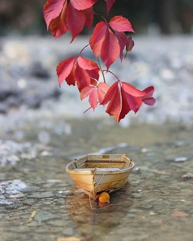 情感语录生活感悟|关于做人之道的一句话，值得收藏一生！