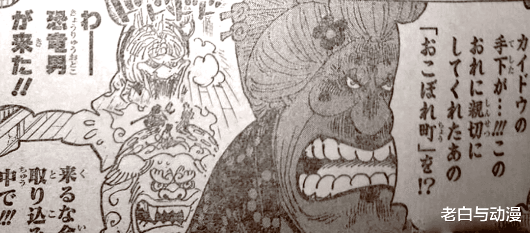海贼王|海贼王1011话:润媞看到大妈打佩吉万,?怕是会给弟弟报仇!?