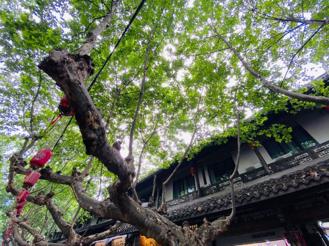 四川省 为何江苏浙江拥有最多5A景区，五一游客数量还是没四川多？