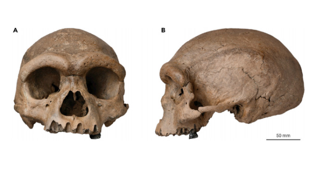 古人类 改变人类演化?中国发现全新古人类支系,或是现代人类最近亲戚