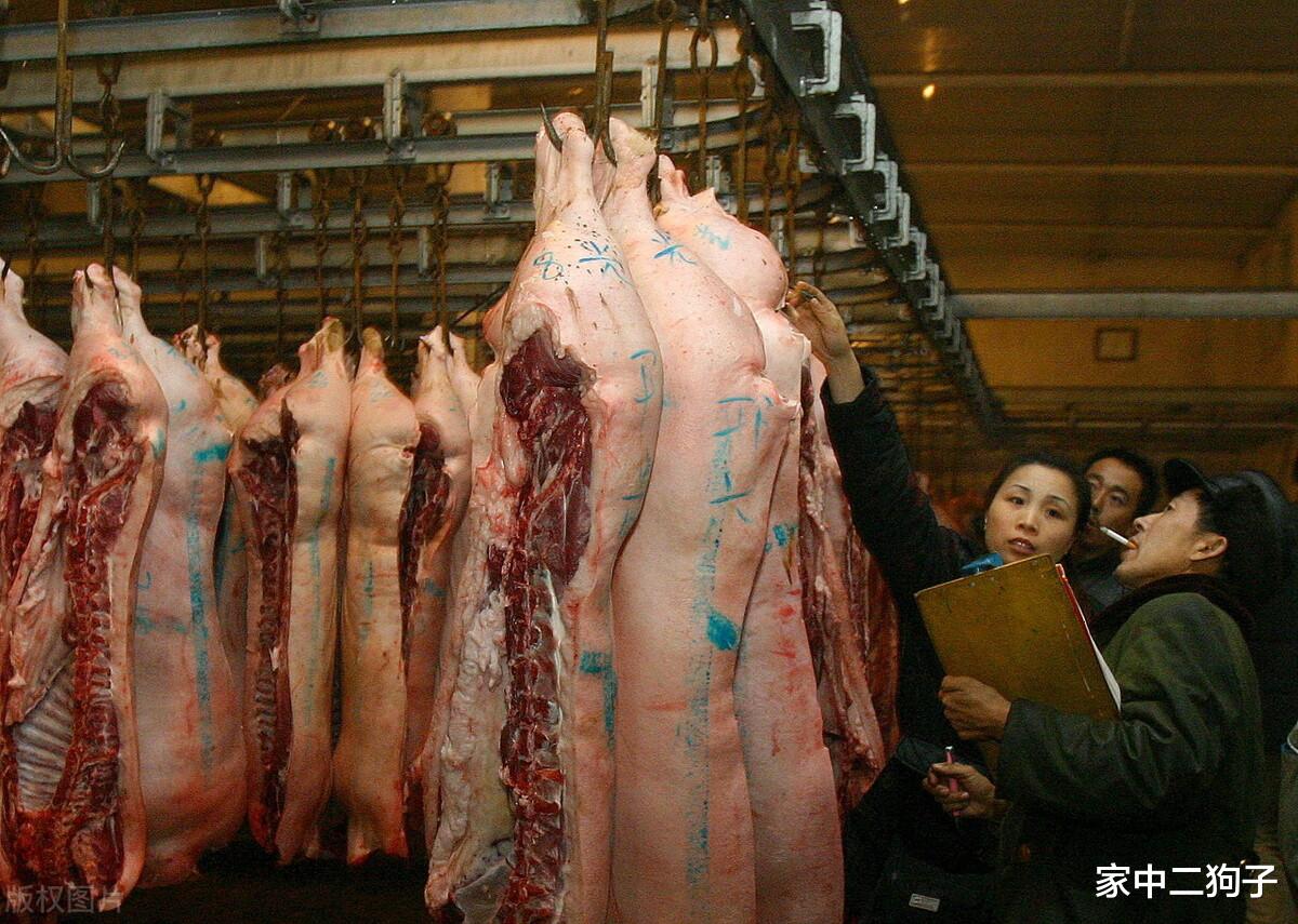 豬價跌破9元，市場豬肉卻賣20一斤，誰剝奪瞭我們的“豬肉自由”-圖8