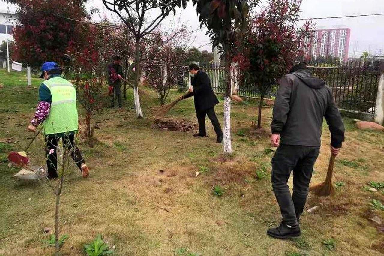 胡了说扒道 天气渐暖了，跟随春天脚步，20余名党员志愿者携手护新绿