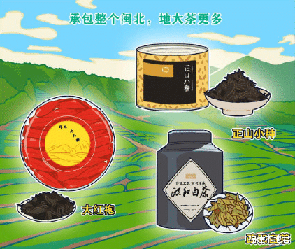 福建本地君 福建风情丨闽有九子,各具特色,漫画带你领略福建九地市的风采