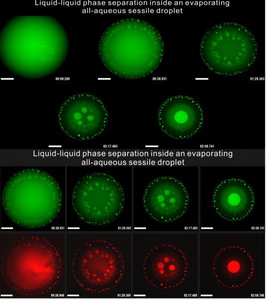 香港大学医学工程团队提出研究“生命起源”的新方法