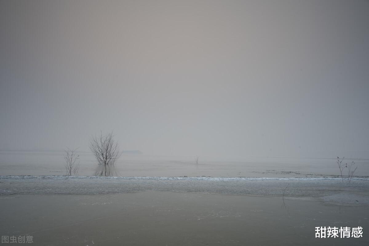 甜辣情感|面对失败的婚姻，我想逃离，可为什么最后受伤的却是我