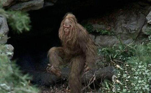  释疑解惑：神农架野人是恐怖传说还是真的存在？