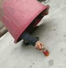 时尚炫点 “为什么蜜蜂的针会连着内脏，这样构造的意义是什么？”