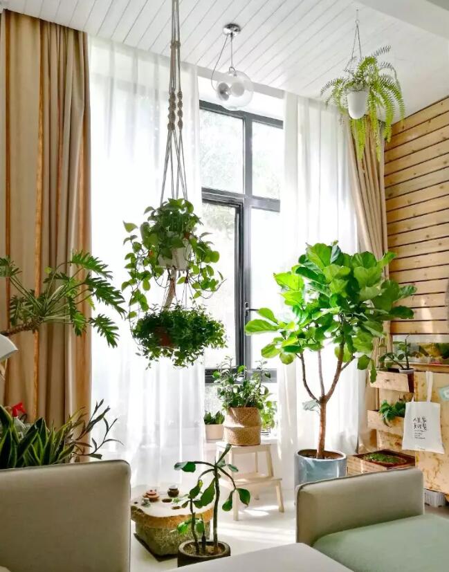 阳台该不该封？知情人告诉你，封了的好处你想象不到！