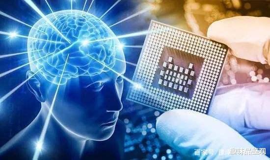 蛋白质|意识是什么？量子力学可以解释意识吗？科学家或正在“飞蛾扑火”