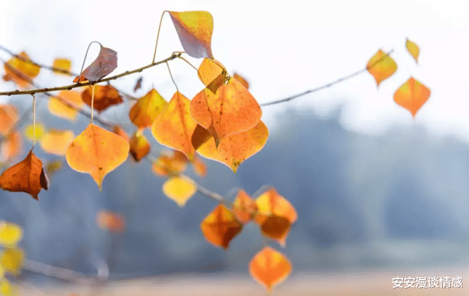 安安漫谈情感|53岁女人讲述婚外情:一夜“偷吃”,晚年凄苦,不离婚也是折磨