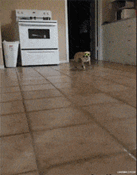 “本想放生你,结果被反咬一口,大哥的操作也太直接了吧!”