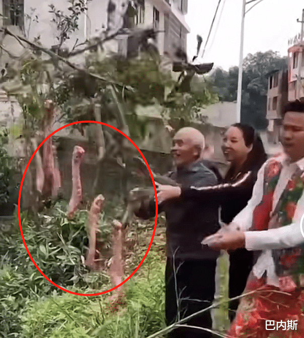 |牛爱芳早期视频曝光，为博眼球树上长出“鸭脖”，地上小龙虾在爬