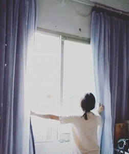 |“刚搬进新租的房子，打扫卫生时发现了这个，要不要告诉房东？”