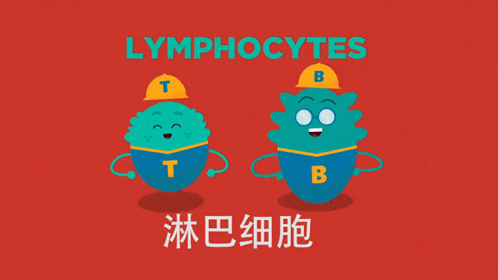 非小细胞肺癌 24小时工作的免疫细胞在干什么？