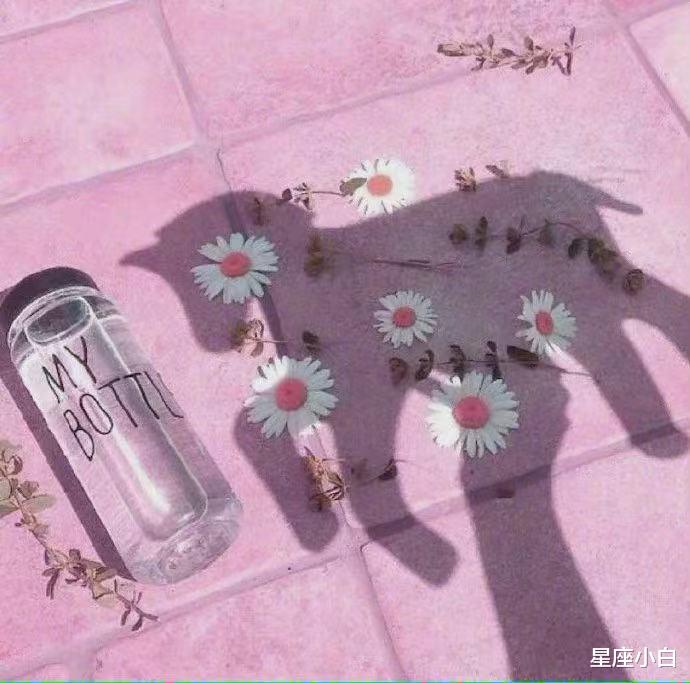 星座小白|好奇心强,喜欢追求新鲜事物的星座